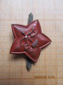кокарда РККА