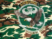 Airborne - флаг банер