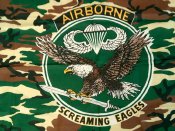 Airborne - флаг банер