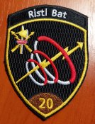 Шеврон, нашивка на китель Ristl Bat 20, размер 91 х 66 мм, 2004 г, армия ВС Швейцарии
