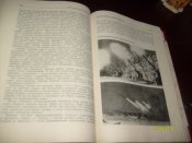 S6307796.JPG
