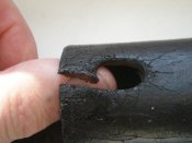 Жабка парадника (6).JPG