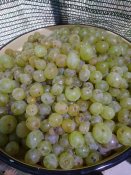 IMG_20210928_162321.jpg