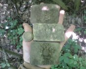 IMG0474A.jpg