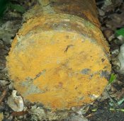 20130623_174311.jpg