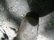IMGP1754.JPG