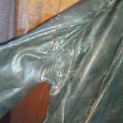 IMG_20220102_094111.jpg
