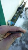 IMG_20220102_121910_992.jpg