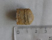 IMGP2702.JPG