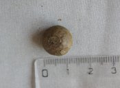 IMGP2705.JPG
