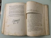 Книга  " Наше високогіря-наші збройні сили ( від Тріанону до Касси) ". Угорщина 1939 р.