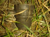 20130619_233243.jpg
