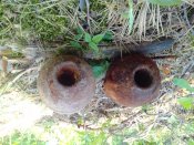 IMG_20130621_173217.jpg