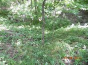 DSCN6145.JPG