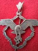 Знак члена Немецкой Академии Аэронафтики