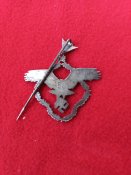Знак члена Немецкой Академии Аэронафтики