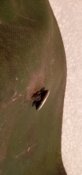 20220106_130019.jpg