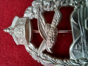 Знак Пилот ветеран