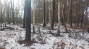 20220107_100207.jpg