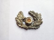Части кокарды немецкого офицера .