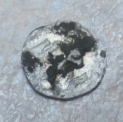 20220110_180707.jpg