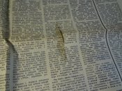 Газета Известия №108 1989 г.