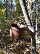 IMG_20211003_134217.jpg