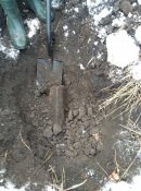 IMG_20220107_110843.jpg