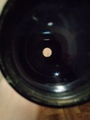 IMG_20220110_182920.jpg