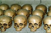 skull_000.jpg