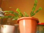 DSC00235.JPG