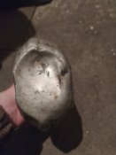 IMG_20220111_220245.jpg