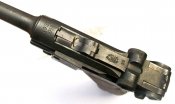 Luger (2).JPG