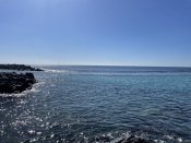 2D4E2927-43AB-4F97-97FB-B249187854A6.jpeg