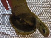 Армия USA. Фляга на 1 QT (кварт) olive +2 термочехла олива и вудланд. Все оригинал.