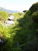 DSCN9614.JPG