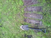IMG_20130626_165932.jpg