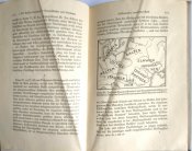 Книга "Краткая расология немецкого народа",1941г.,Берлин.