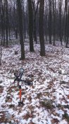 DSC_0005.JPG