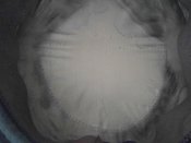 3f3196b9d9a6d97dab9e29f05bc1d99d0.jpg