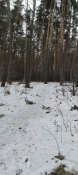 IMG_20220117_120332_1.jpg