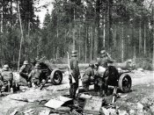 mosin nagant.jpg