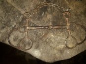 IMG_20220120_174035_066.jpg