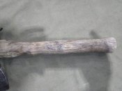 IMG_20220122_104448.jpg