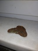 IMG_20220122_133731.jpg