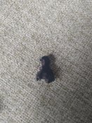 IMG_20220123_140401.jpg