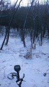 DSC_0008.JPG