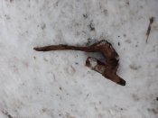 20220124_165207.jpg
