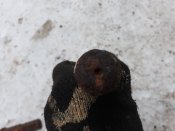 20220124_165904.jpg