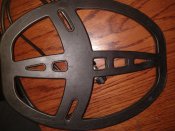 IMG_20220124_105654476.jpg